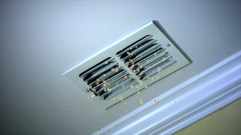 Best Home Air Vent Cleaning  in Fall Creek, WI