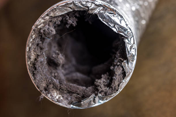 Best Air Duct Cleaning Near Me  in Fall Creek, WI